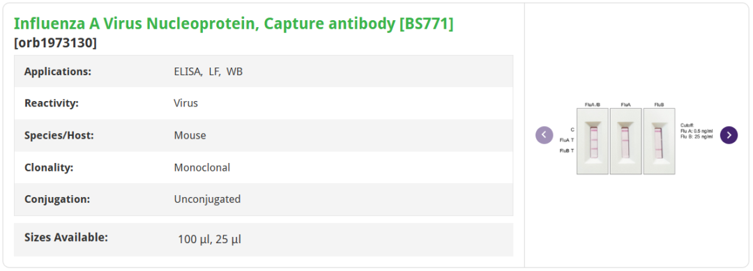 Antibody List 4