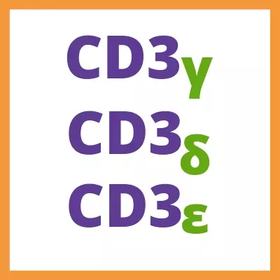 CD3 Reagents
