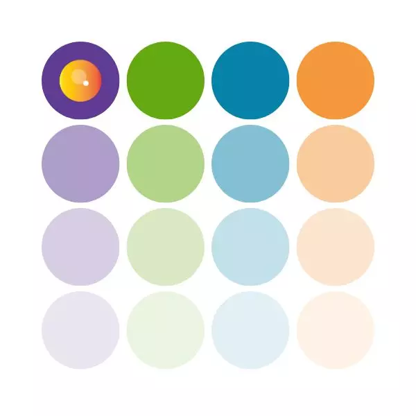 ELISA Kits: The Basics