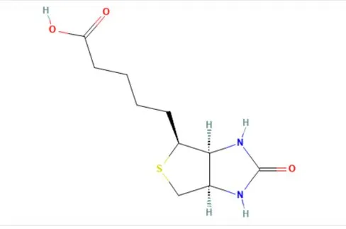生物素作为通用标签与目标分子偶联示意图