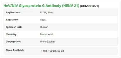 HeV/NiV Glycoprotein G Antibody