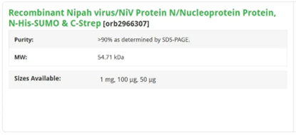 Recombinant Nipah virus/NiV Protein N