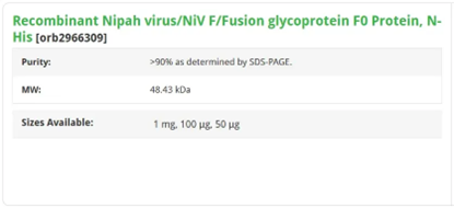 Recombinant Nipah virus F0 Protein