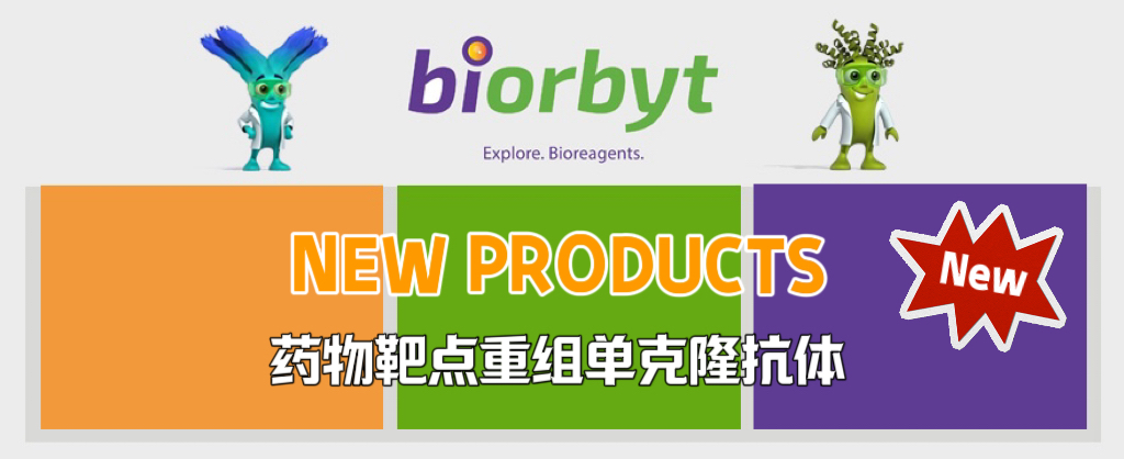 药物靶点重组单克隆抗体