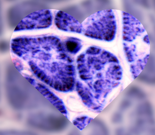 Cardiac-inflammatory-markers