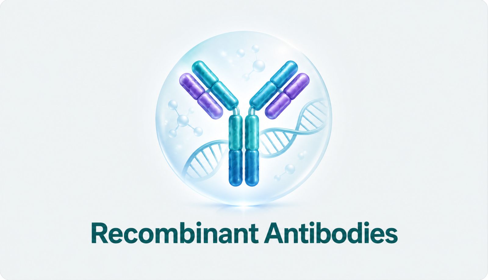 Recombinant antibodies