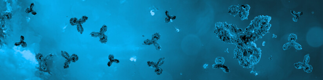 Custom rabbit monoclonal antibody production banner