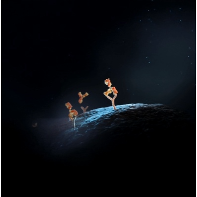 Inflammation Modulators