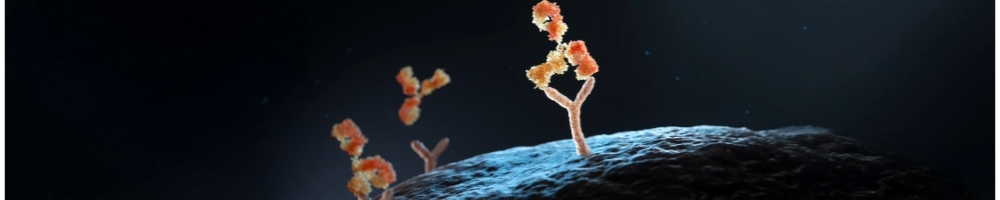 Inflammation Modulators Background