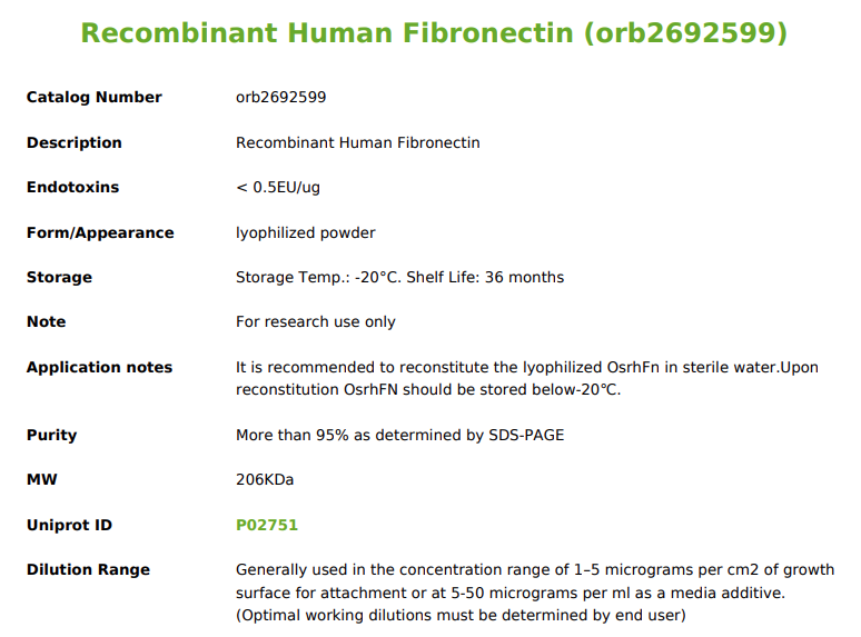 Recombinant Human Fibronectin Datasheet