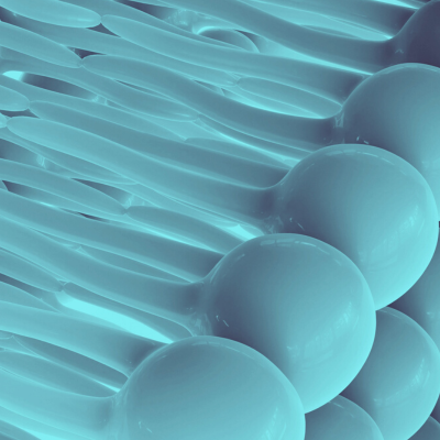 Understanding Lipid Nanoparticles