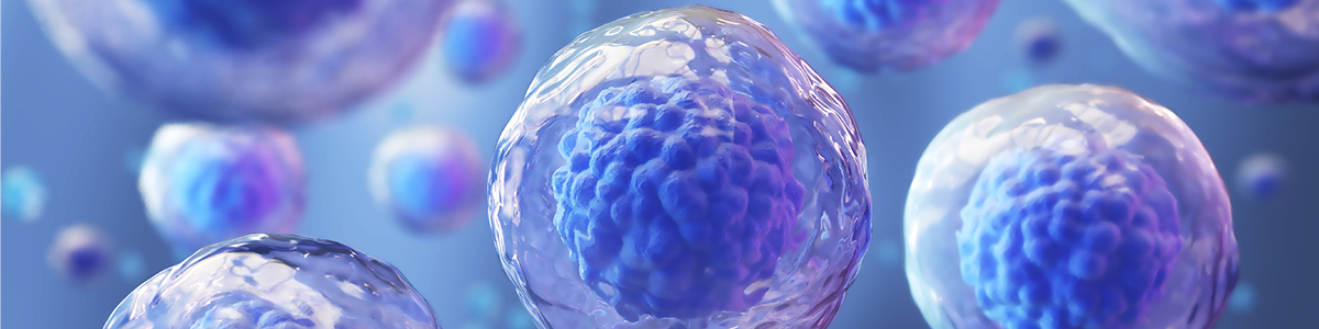 Stem Cells