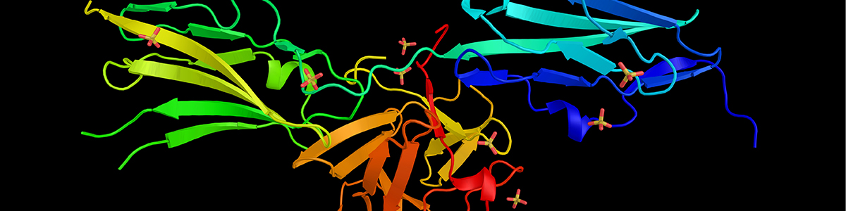 Developmental Biology