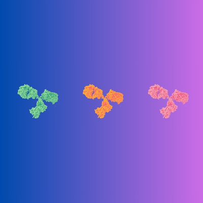 Three colourful antibody molecules on a gradient background.