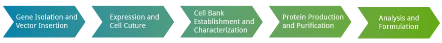 Steps in developing Biosimilars