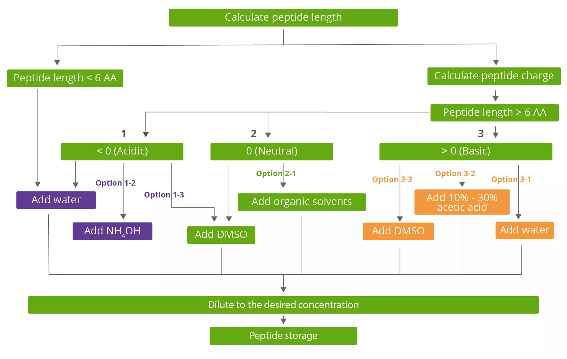 Peptide Dissolving Workflow