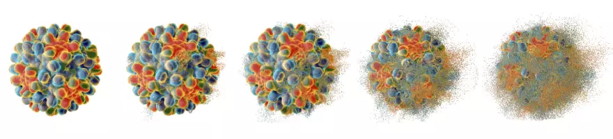 Hepatitis B destruction