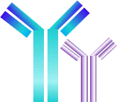 Matched Antibody Pair