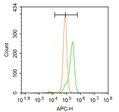 Aurora B Rabbit Polyclonal Antibody (FITC)