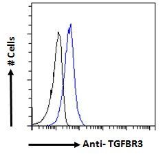 Goat anti-TGFBR3 Antibody