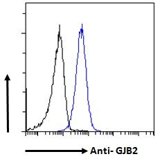 GJB2/Connexin 26 Antibody