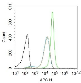 PINX-1 Polyclonal Antibody