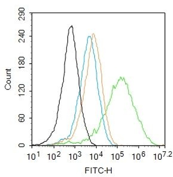 DIS3L2 Polyclonal Antibody