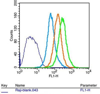 CDC20B Polyclonal Antibody