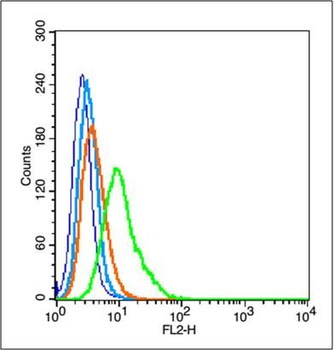 HIF3 alpha Polyclonal Antibody
