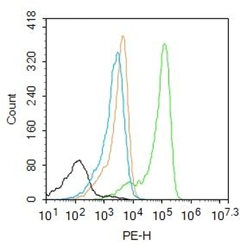 S100-A8 / MRP8 Polyclonal Antibody