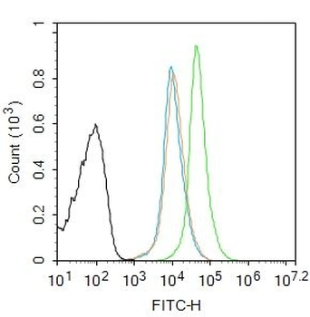 S100-A8 / MRP8 Polyclonal Antibody