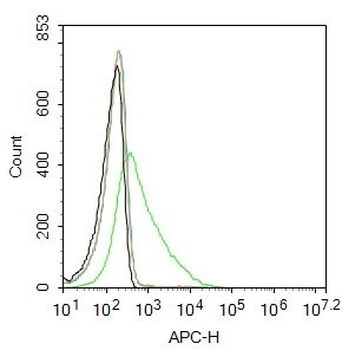 GRID1 Polyclonal Antibody