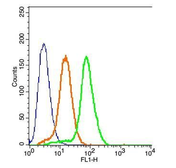 MC4 Receptor Polyclonal Antibody