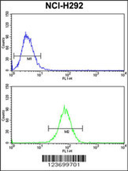 DNM3 Antibody (Center)