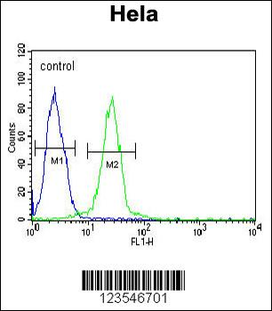 EWSR1 Antibody (C-term)