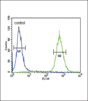 GDNF Antibody (N-term)