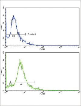 SKP2 Antibody (Center)