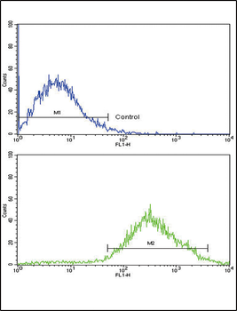 TYRO10 Antibody