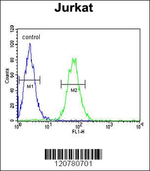 PTPN11 Antibody (C-term)