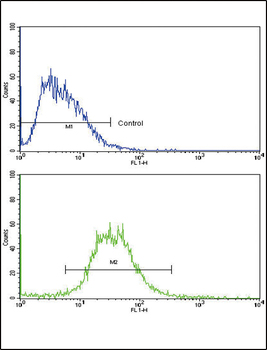 IL17RB Antibody (Center)