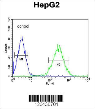 BDHA1 Antibody (Center)