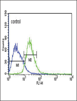 TXTP Antibody (Center)