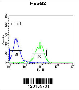 NR5A1 Antibody (N-term)