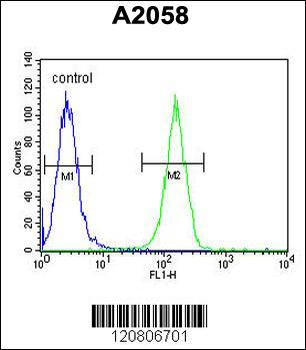 XRCC6 Antibody (C-term)