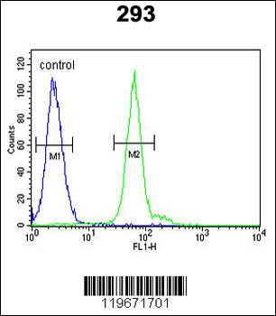 ATG14 Antibody (Center)