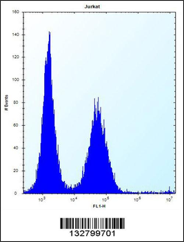 KCTD10 Antibody (C-term)