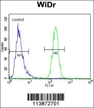 TFCP2L1 Antibody (Center)