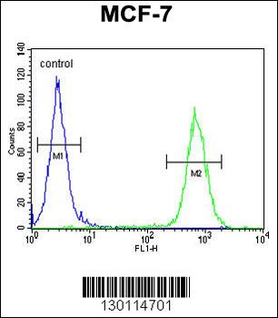 RICH2 Antibody (C-term)