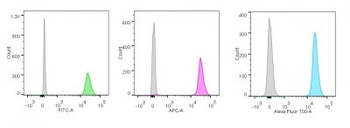 Nucleolin (Marker of Human Cells) Antibody - With BSA and Azide