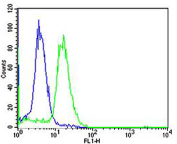 TCL1A Antibody (Center)